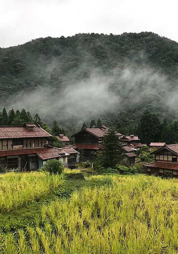 Les Satoyama, voyage au cœur du Japon rural