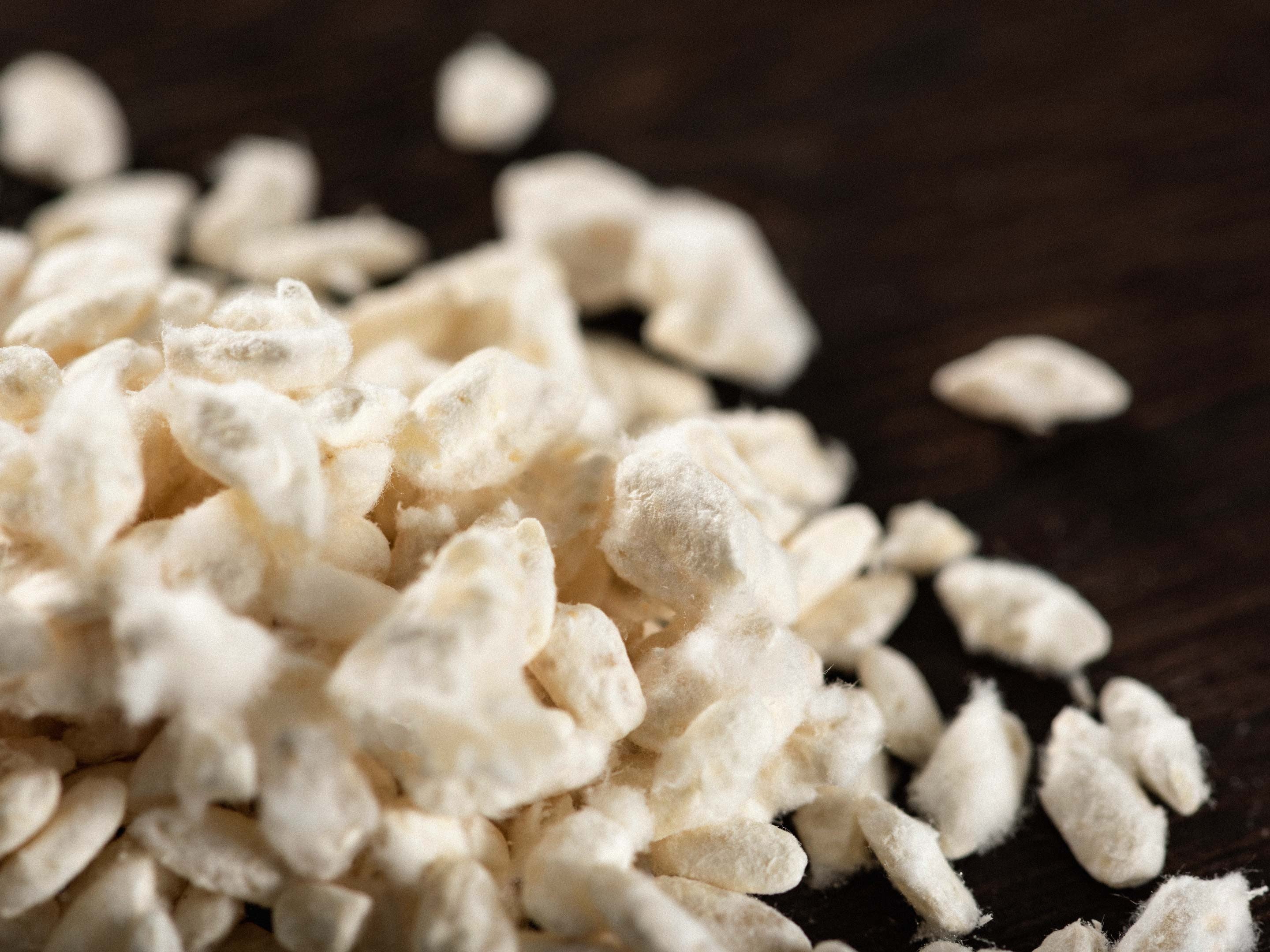 Ces micro-organismes qui prolongent la vie