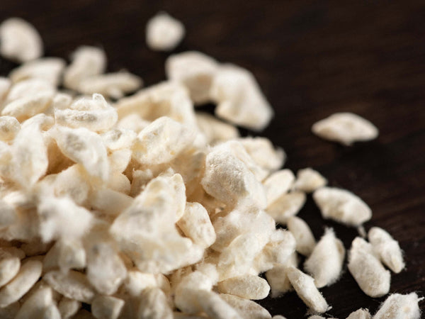 Ces micro-organismes qui prolongent la vie