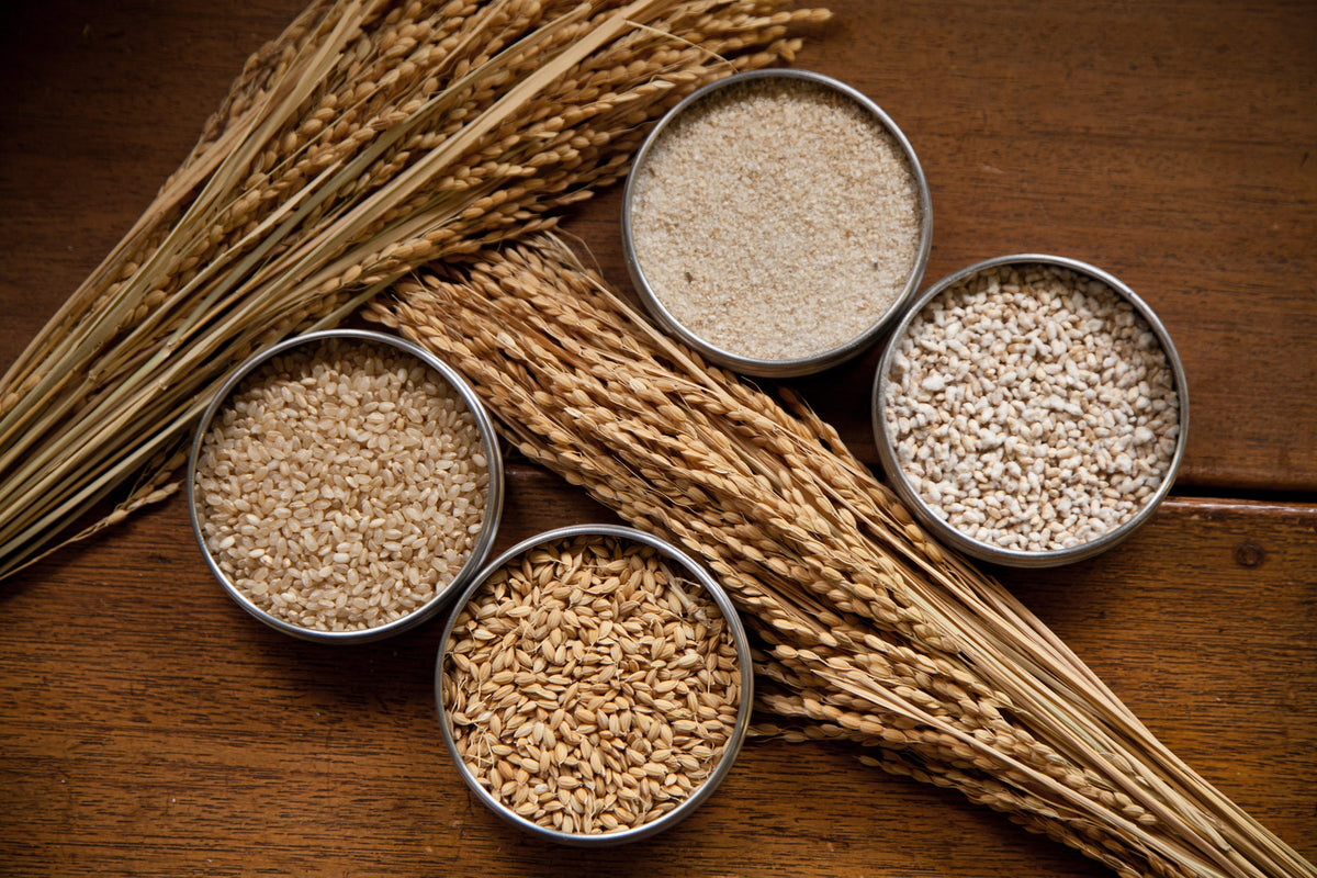 Les ingrédients naturels de la fabrication du ferment de riz Bizen : riz complet biologique et koji.